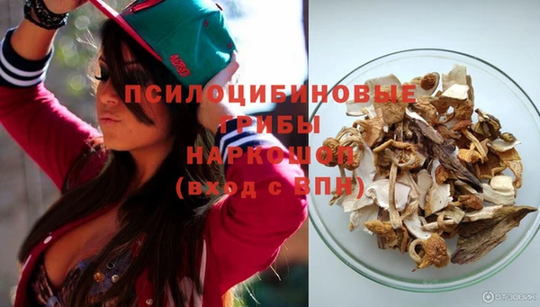 бошки Зеленодольск