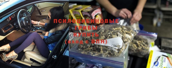 гашик Зерноград